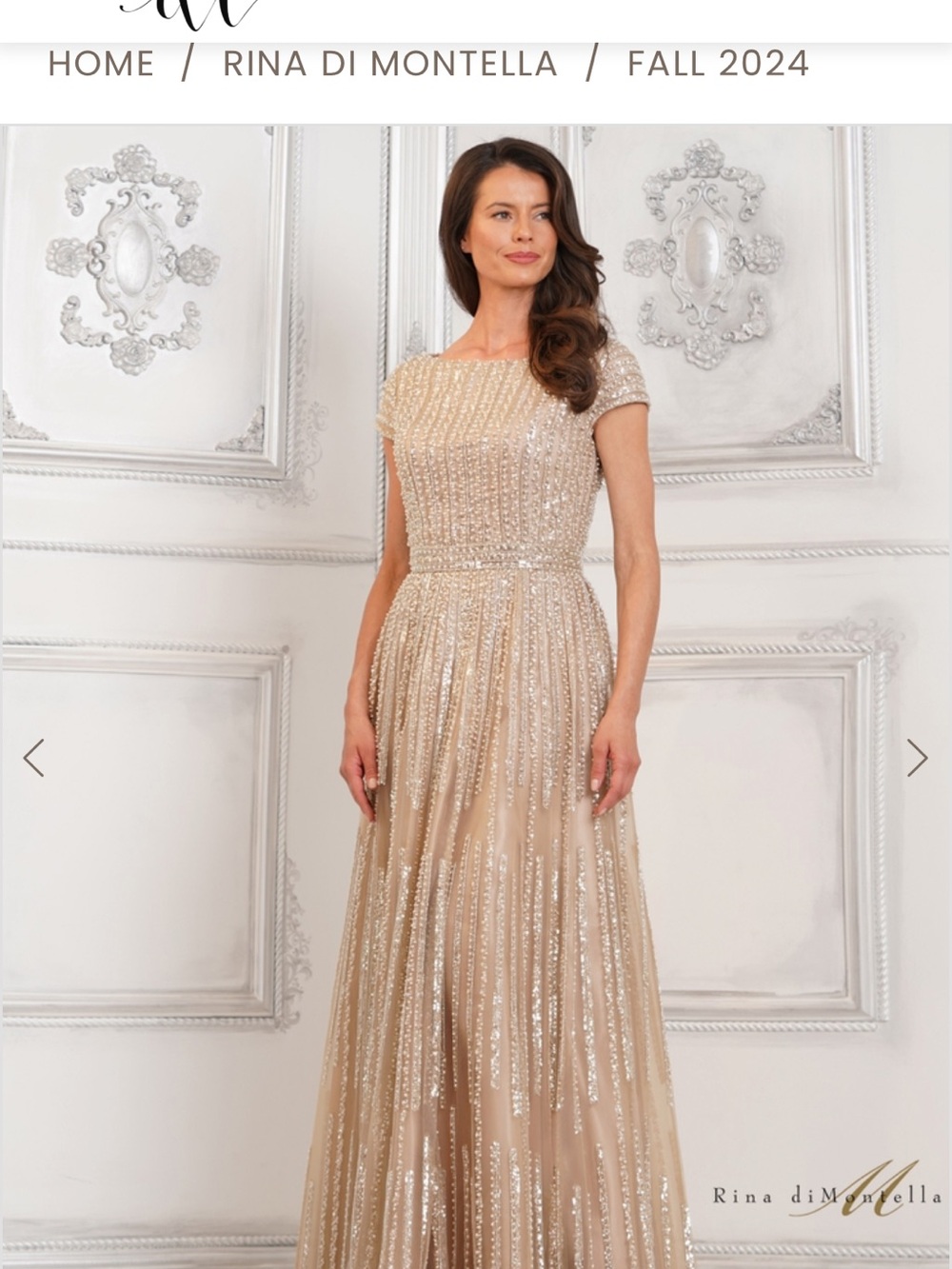 Rina diMontella Beaded Mesh Sheath Dress in Ivory